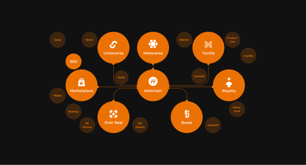 Holiverse elements