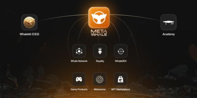 Meta-Whale.com Complete Review: Is This Crypto Ecosystem a Game-Changer or Just Another Hype? - 1