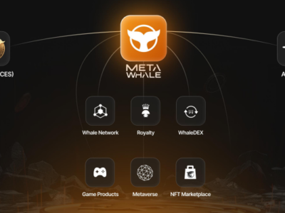 Meta-Whale.com Complete Review: Is This Crypto Ecosystem a Game-Changer or Just Another Hype? - 1